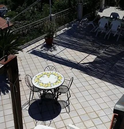 La Mimosa